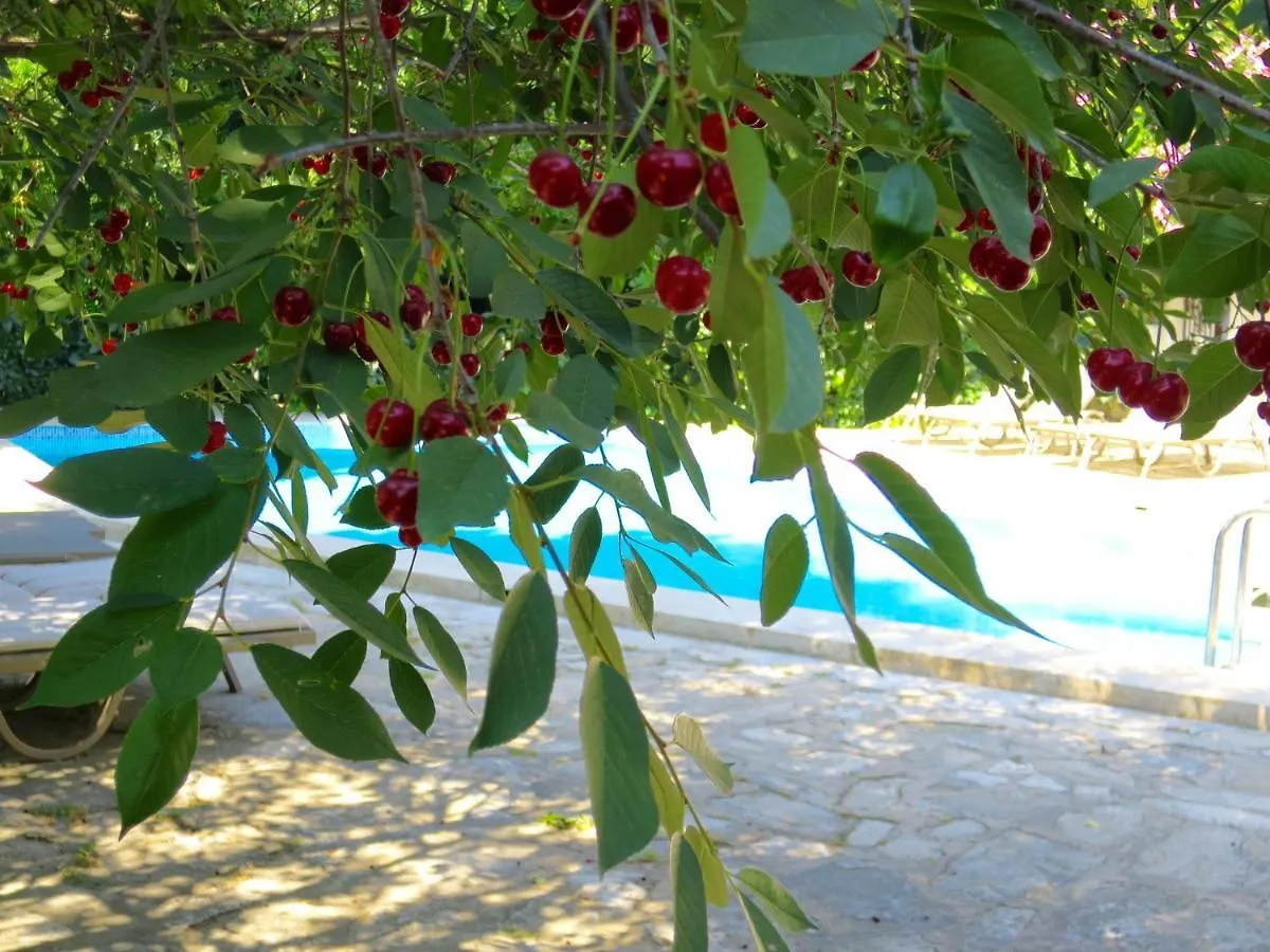**  Hotel Kalehan Selcuk Turkey