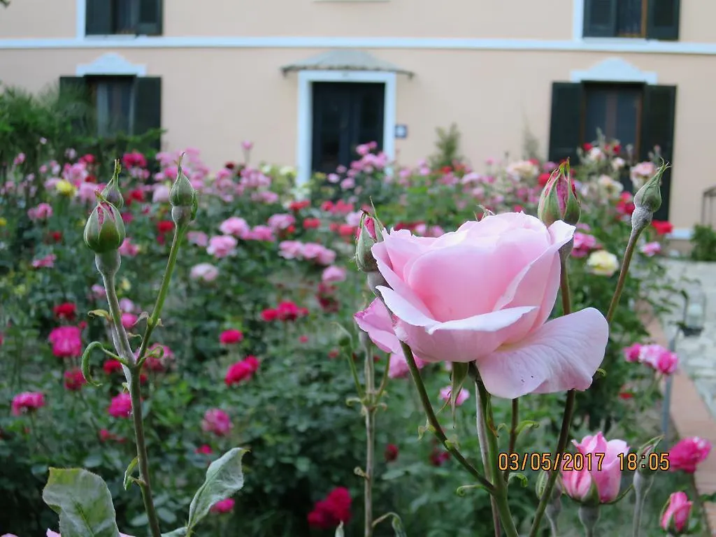 Hotel Kalehan Selcuk 2*,  Turkey