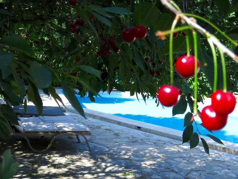 Hotel Kalehan Selcuk 2*,